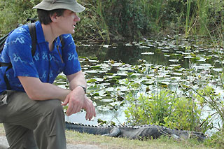 Shark Valley alligator