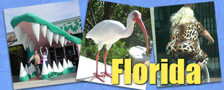 Marco Island, FL Travel header
