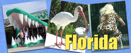 Florida guide & Florida information header