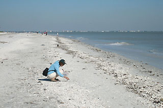 Sanibel Island beach